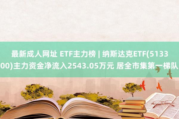 最新成人网址 ETF主力榜 | 纳斯达克ETF(513300)主力资金净流入2543.05万元 居全市集第一梯队