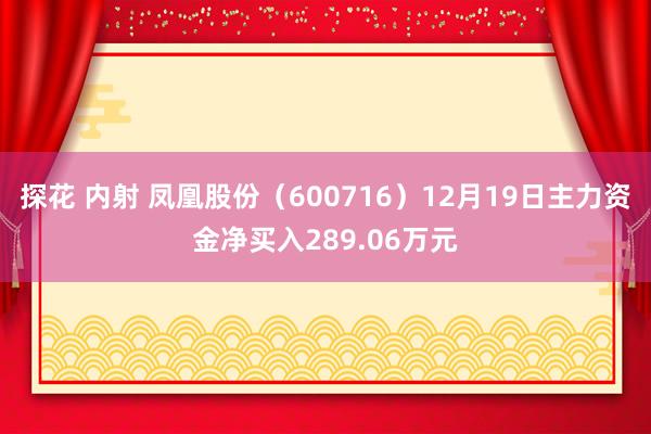 探花 内射 凤凰股份（600716）12月19日主力资金净买入289.06万元