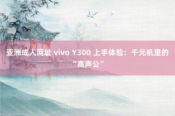 亚洲成人网址 vivo Y300 上手体验：千元机里的“高声公”