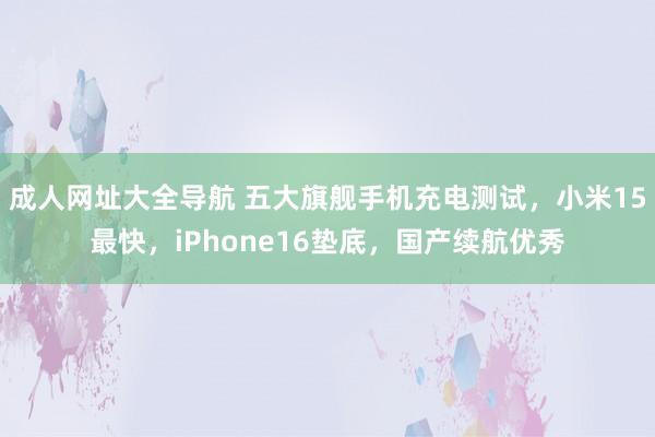 成人网址大全导航 五大旗舰手机充电测试，小米15最快，iPhone16垫底，国产续航优秀