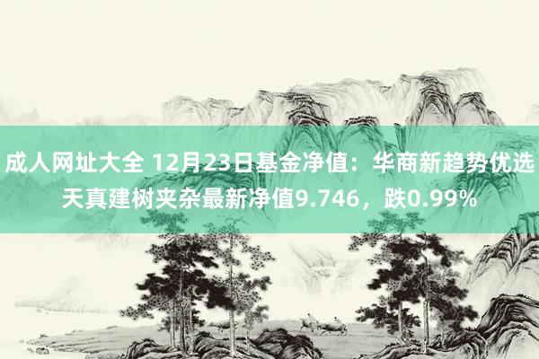 成人网址大全 12月23日基金净值：华商新趋势优选天真建树夹杂最新净值9.746，跌0.99%