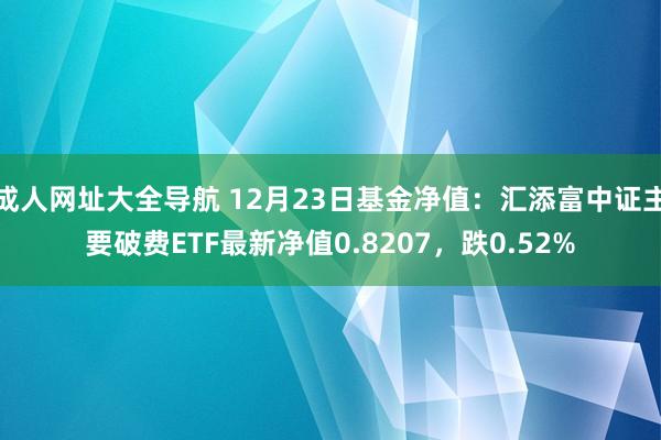 成人网址大全导航 12月23日基金净值：汇添富中证主要破费ETF最新净值0.8207，跌0.52%