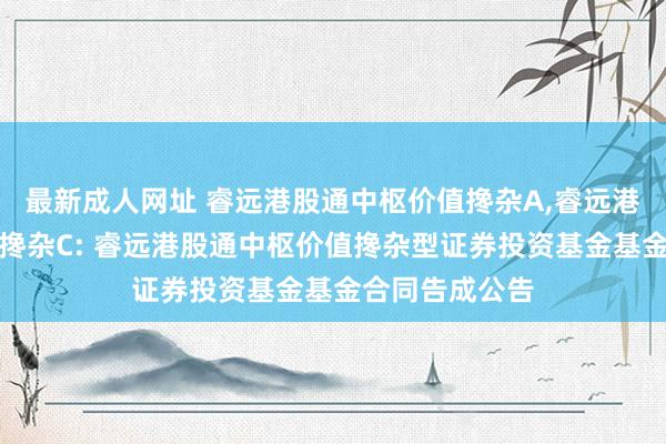 最新成人网址 睿远港股通中枢价值搀杂A，睿远港股通中枢价值搀杂C: 睿远港股通中枢价值搀杂型证券投资基金基金合同告成公告