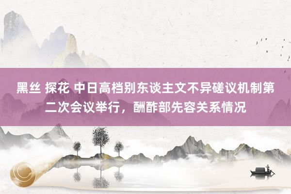 黑丝 探花 中日高档别东谈主文不异磋议机制第二次会议举行，酬酢部先容关系情况