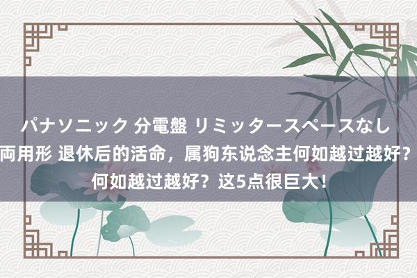 パナソニック 分電盤 リミッタースペースなし 露出・半埋込両用形 退休后的活命，属狗东说念主何如越过越好？这5点很巨大！