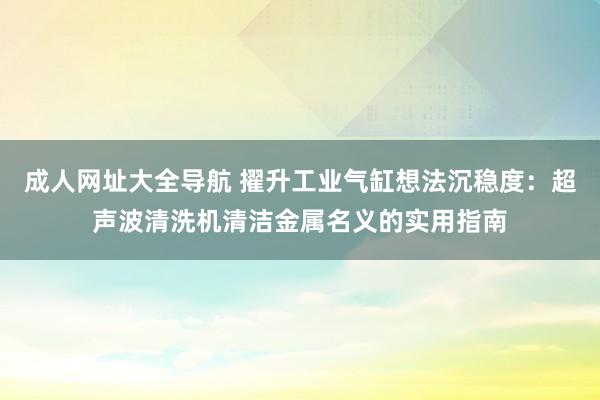 成人网址大全导航 擢升工业气缸想法沉稳度：超声波清洗机清洁金属名义的实用指南