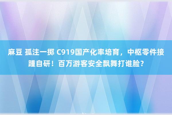 麻豆 孤注一掷 C919国产化率培育，中枢零件接踵自研！百万游客安全飘舞打谁脸？