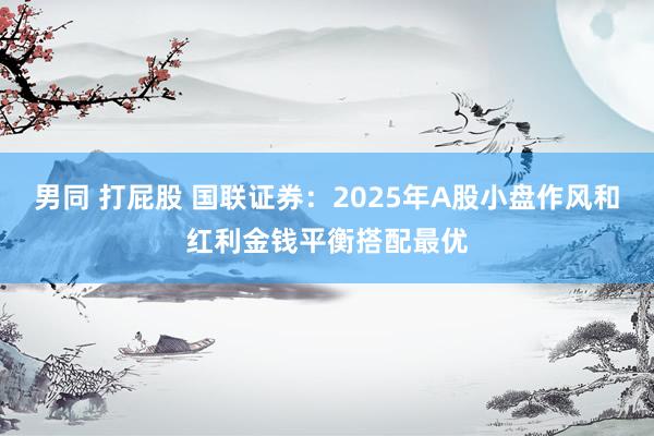 男同 打屁股 国联证券：2025年A股小盘作风和红利金钱平衡搭配最优