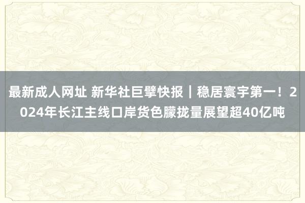 最新成人网址 新华社巨擘快报｜稳居寰宇第一！2024年长江主线口岸货色朦拢量展望超40亿吨