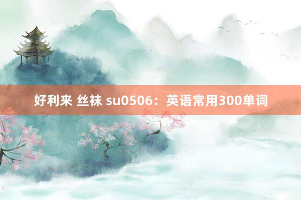 好利来 丝袜 su0506：英语常用300单词