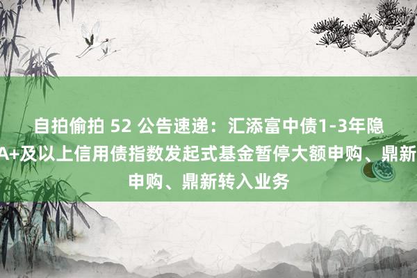 自拍偷拍 52 公告速递：汇添富中债1-3年隐含评级AA+及以上信用债指数发起式基金暂停大额申购、鼎新转入业务