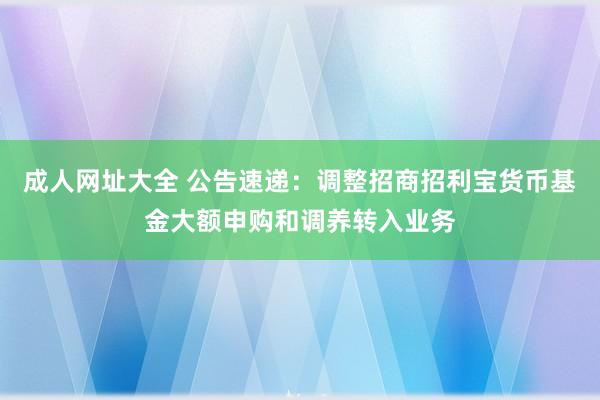 成人网址大全 公告速递：调整招商招利宝货币基金大额申购和调养转入业务