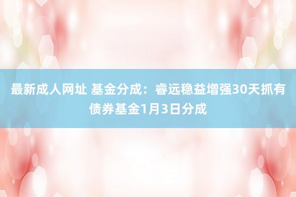 最新成人网址 基金分成：睿远稳益增强30天抓有债券基金1月3日分成