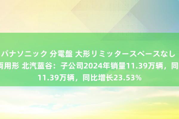 パナソニック 分電盤 大形リミッタースペースなし 露出・半埋込両用形 北汽蓝谷：子公司2024年销量11.39万辆，同比增长23.53%