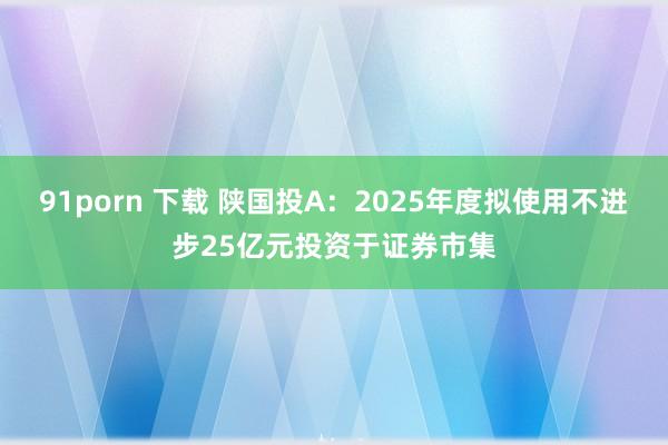 91porn 下载 陕国投A：2025年度拟使用不进步25亿元投资于证券市集