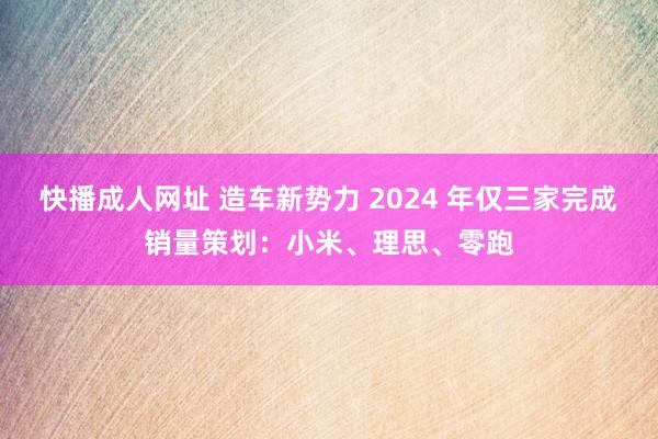 快播成人网址 造车新势力 2024 年仅三家完成销量策划：小米、理思、零跑