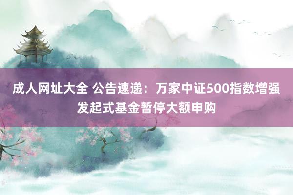 成人网址大全 公告速递：万家中证500指数增强发起式基金暂停大额申购