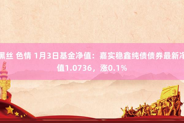 黑丝 色情 1月3日基金净值：嘉实稳鑫纯债债券最新净值1.0736，涨0.1%