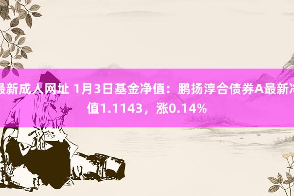 最新成人网址 1月3日基金净值：鹏扬淳合债券A最新净值1.1143，涨0.14%