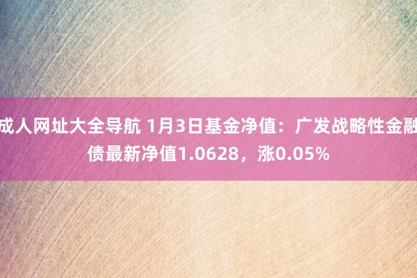 成人网址大全导航 1月3日基金净值：广发战略性金融债最新净值1.0628，涨0.05%