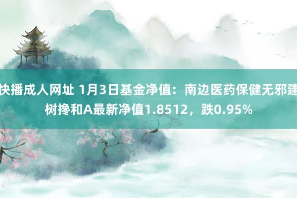 快播成人网址 1月3日基金净值：南边医药保健无邪建树搀和A最新净值1.8512，跌0.95%