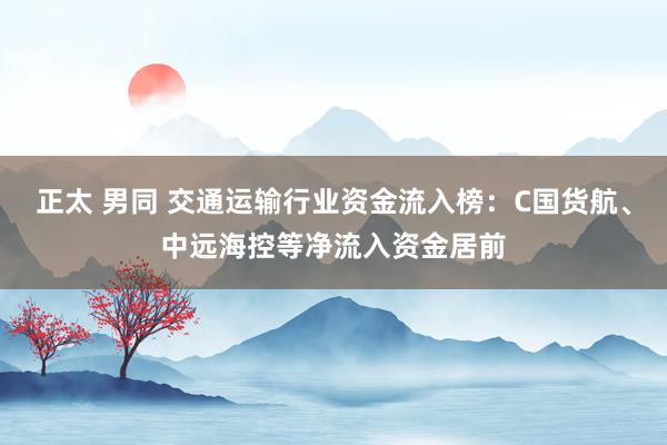 正太 男同 交通运输行业资金流入榜：C国货航、中远海控等净流入资金居前