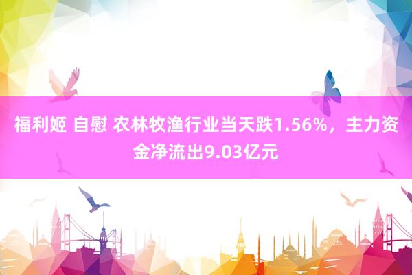 福利姬 自慰 农林牧渔行业当天跌1.56%，主力资金净流出9.03亿元