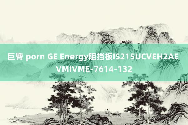 巨臀 porn GE Energy阻挡板IS215UCVEH2AE VMIVME-7614-132