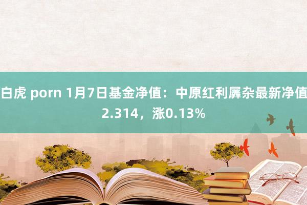 白虎 porn 1月7日基金净值：中原红利羼杂最新净值2.314，涨0.13%