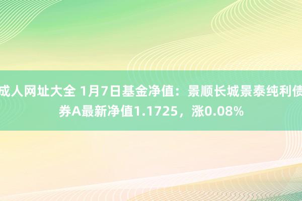 成人网址大全 1月7日基金净值：景顺长城景泰纯利债券A最新净值1.1725，涨0.08%