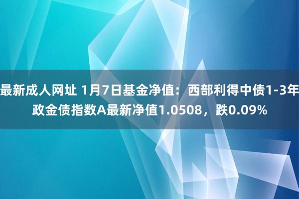 最新成人网址 1月7日基金净值：西部利得中债1-3年政金债指数A最新净值1.0508，跌0.09%