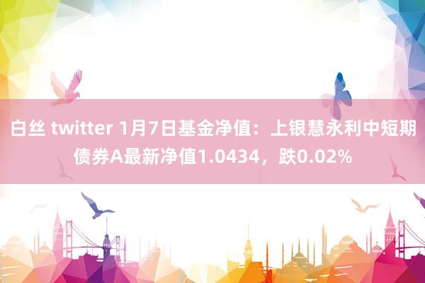 白丝 twitter 1月7日基金净值：上银慧永利中短期债券A最新净值1.0434，跌0.02%