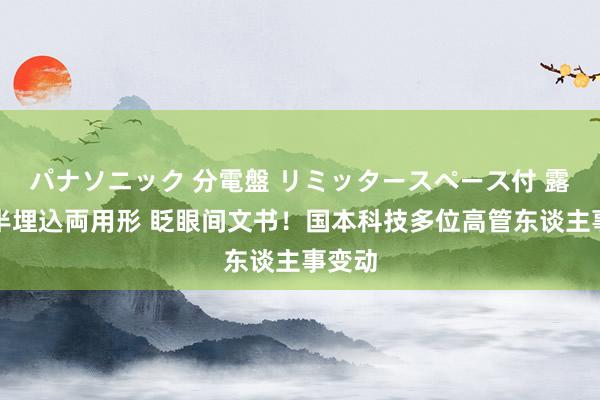 パナソニック 分電盤 リミッタースペース付 露出・半埋込両用形 眨眼间文书！国本科技多位高管东谈主事变动