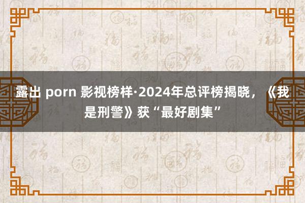 露出 porn 影视榜样·2024年总评榜揭晓，《我是刑警》获“最好剧集”